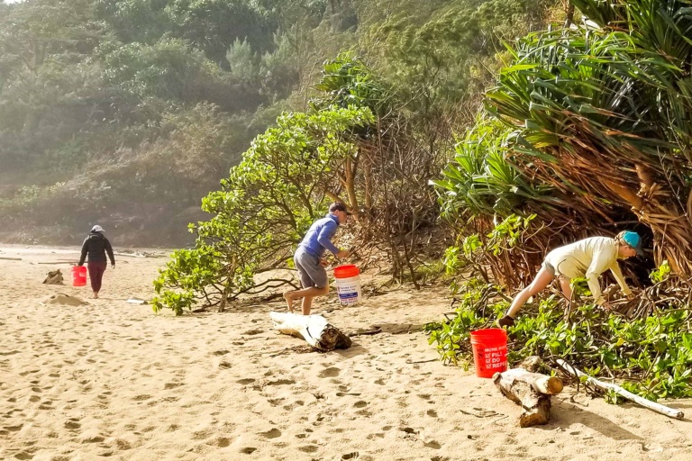 Hawaiilandtrust Volunteer At Kahili Beach Preserve Feature Community
