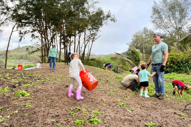 Hawaiilandtrust Volunteer At Kahili Beach Preserve Feature Conservation Family