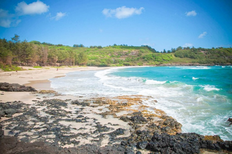 Hawaiilandtrust Volunteer At Kahili Beach Preserve 