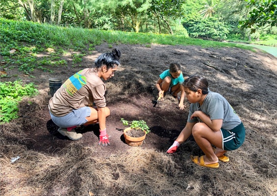 Hawaiilandtrust Volunteer At Kahili Beach Preserve Slider Plating