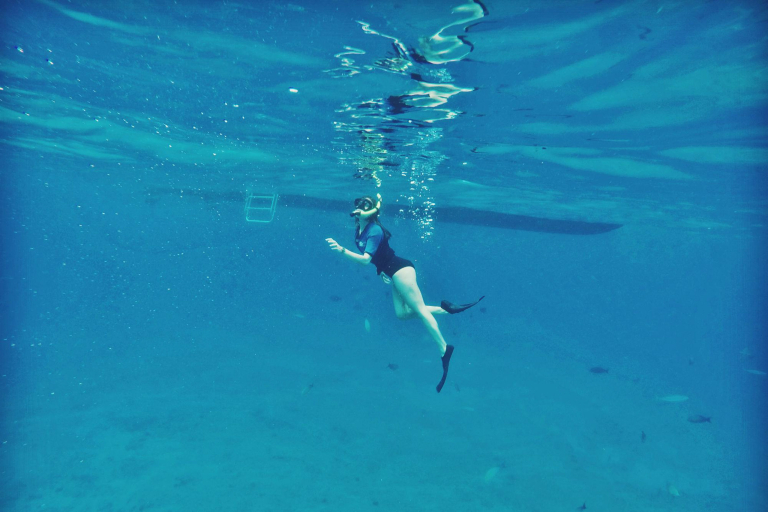 Islandwatersportshawaii Cataraman Cruise With Snorkeling Feature Enjoy The Water Craetures