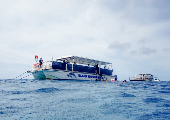 Islandwatersportshawaii Cataraman Cruise With Snorkeling Slide On Board