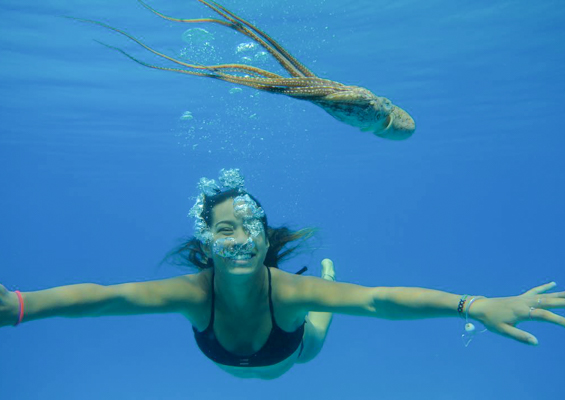 Islandwatersportshawaii Cataraman Cruise With Snorkeling Slide Swimming With Sea Animals