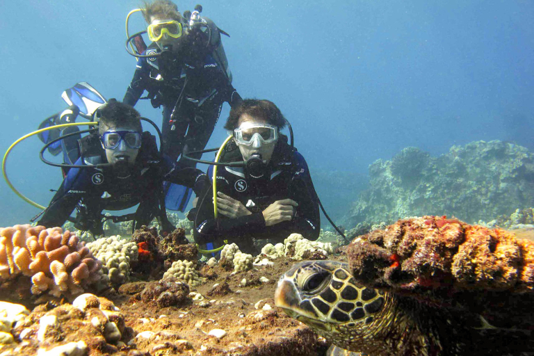 Mauipacificdivers Reefs And Wrecks Three Tank Dive In Maui Feature Private Charter