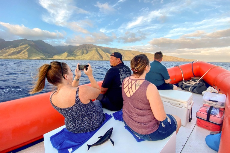 Mauipacificdivers Small Raft Whale Watch Private Tour Feature Learn About Whale Behavior Take Photos