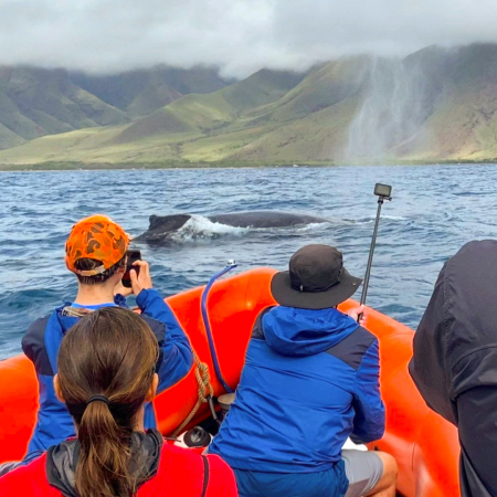 Mauipacificdivers Small Raft Whale Watch Private Tour Product