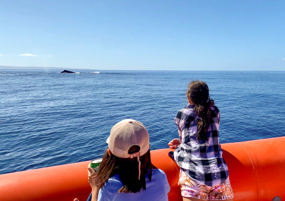 Mauipacificdivers Small Raft Whale Watch Private Tour Slider Sibling