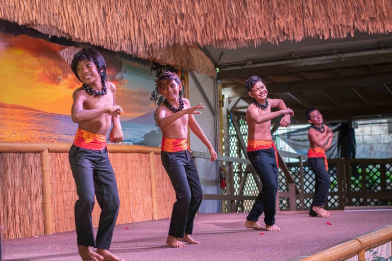 Napilikaifoundation Enjoy Maui Longest Running Weekly Keiki Hula Show Feature Polynesian Dance Kids