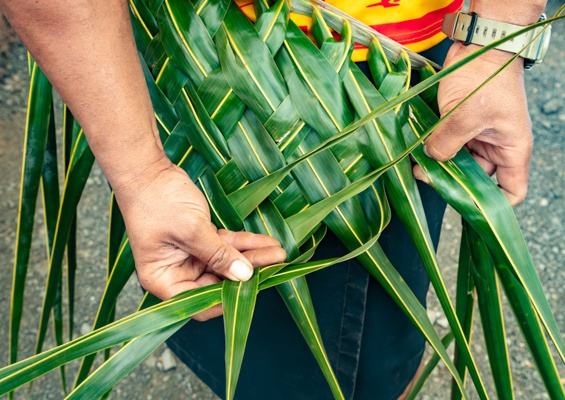 Napilikaifoundation Enjoy Maui Longest Running Weekly Keiki Hula Show Slide Coconut Frond Weaving