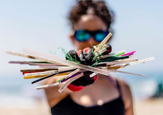 Surfrider Foundation Kauai Beach Cleanups Slide Straws Remove