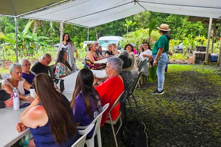 Imumeaai Imu Mea Ai Food Tour Feature Commnunal Luau Feast Celebrating Hawaii Culinary Heritage