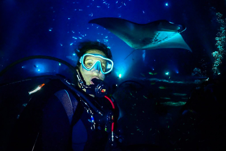 Aquaticlifedivers One Tank Manta Dive Or Snorkel Feature Come For The Coastal Views Manta Dive Garden Eel