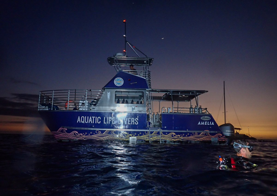 Aquaticlifedivers One Tank Manta Dive Or Snorkel Slider Boat