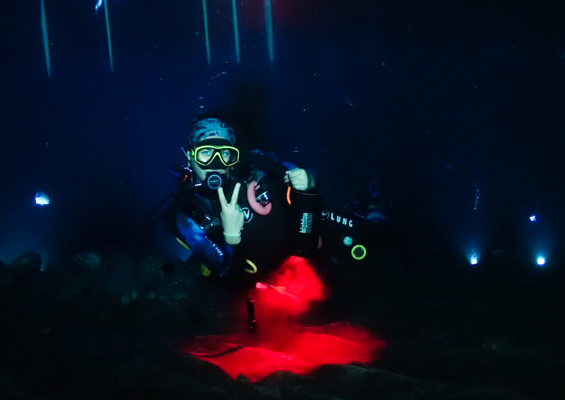 Aquaticlifedivers One Tank Manta Dive Or Snorkel Slider Girl Take A Photo