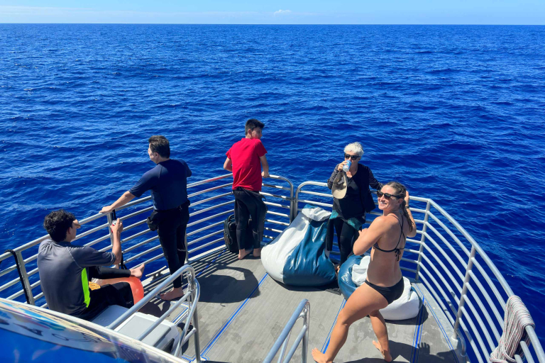 Aquaticlifedivers Two Tank Dive With The Mata Ray Tour Feature A Pleasant Boat Ride