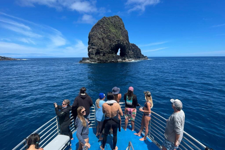Aquaticlifedivers Two Tank Dive With The Mata Ray Tour Feature Expert Crew