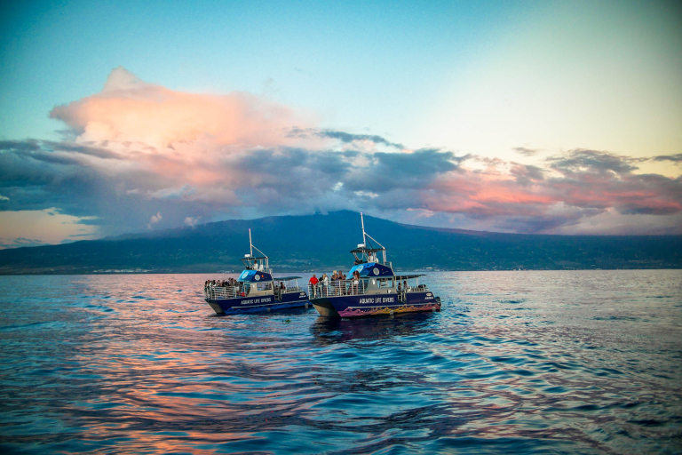Aquaticlifedivers Two Tank Dive With The Mata Ray Tour Feature Kona Coast