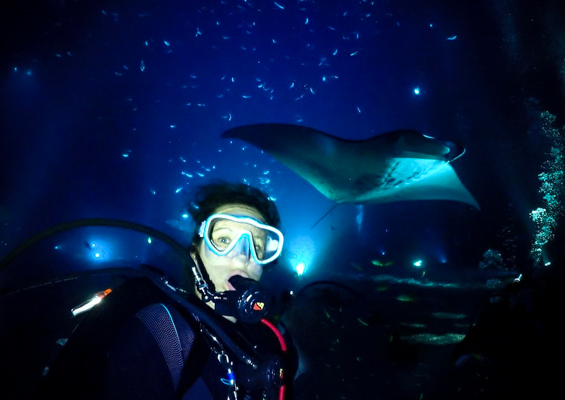 Aquaticlifedivers Two Tank Dive With The Mata Ray Tour Slide Diving With Manta Ray