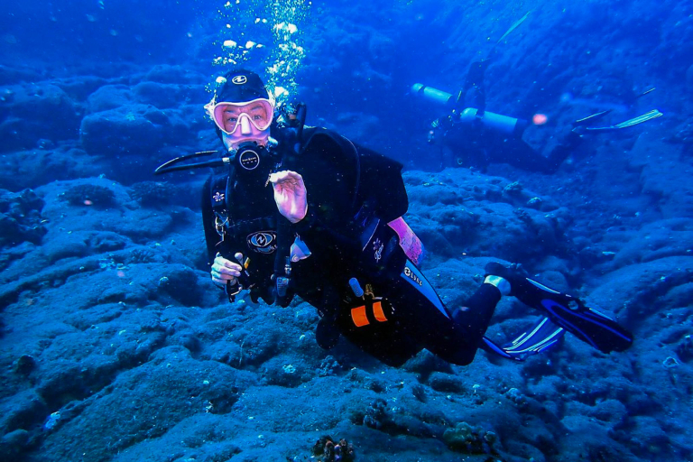 Aquaticlifedivers Two Tank Morning Reef Dive Feature Tropical Fish Tara The Finder Of All