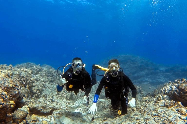 Aquaticlifedivers Two Tank Morning Reef Dive Feature Wrecks Lurk Beneath The Surface
