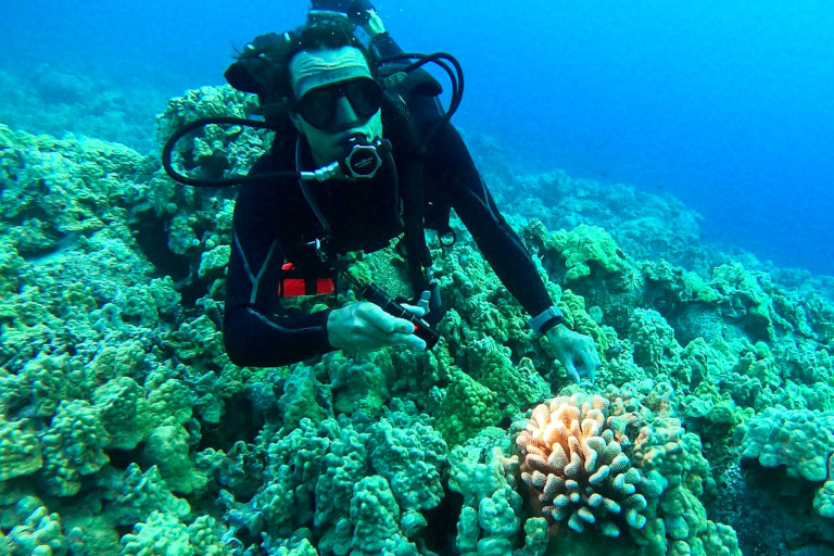 Aquaticlifedivers Two Tank Morning Reef Dive Feature Wrecks Lurk Beneath The Surface Dane Knezek Pointing