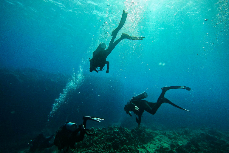 Aquaticlifedivers Two Tank Morning Reef Dive 