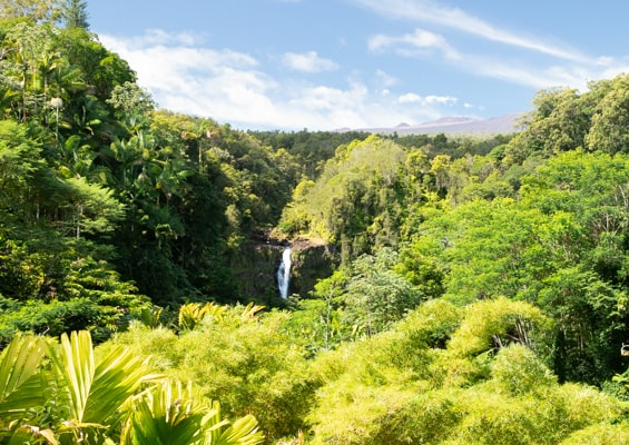 Oahu Hawaii Best Tour Big Island Waterfall