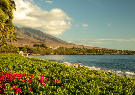 Oahu Hawaii Best Tour Maui Island Kaanapali Beach