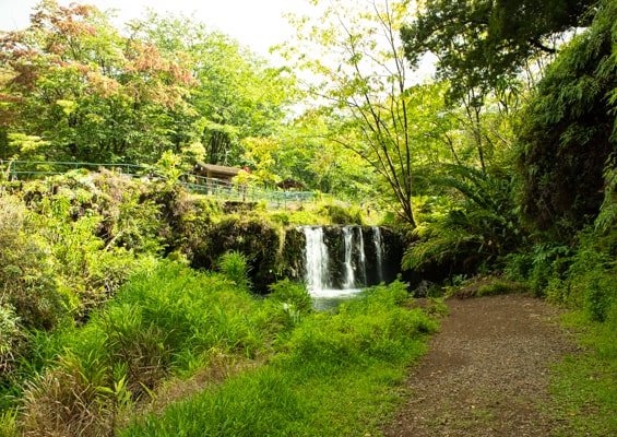 Oahu Hawaii Best Tour Maui Island Waterfall
