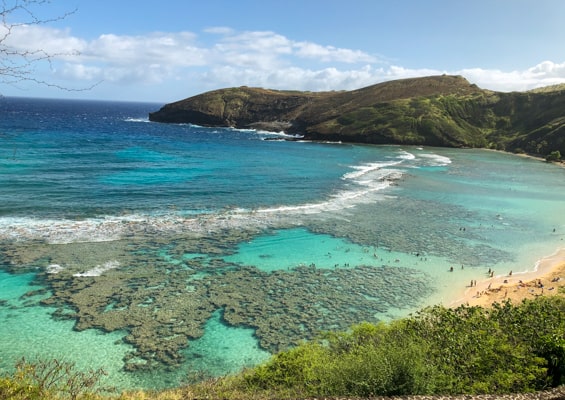 Oahu Hawaii Best Tour Oahu Island Hanauma Bay