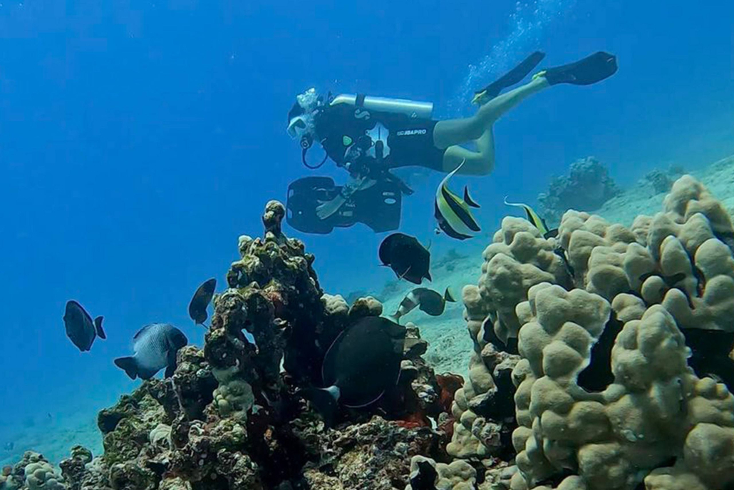 Oahu Oahu Scuba Tours Diving In Rock Formations
