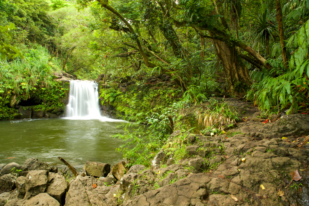 road-to-hana-waterfall-hidden-gem-maui A small hidden waterfall surrounded by lush green rainforest along the scenic Road to Hāna in Maui, Hawaiʻi.