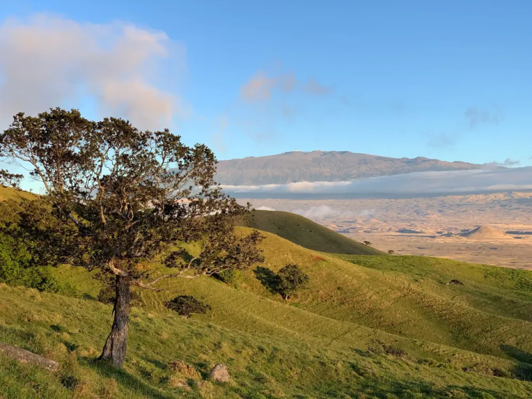 Anna Ranch Mountain Bike Adventure | Hawaii Tours and Activities