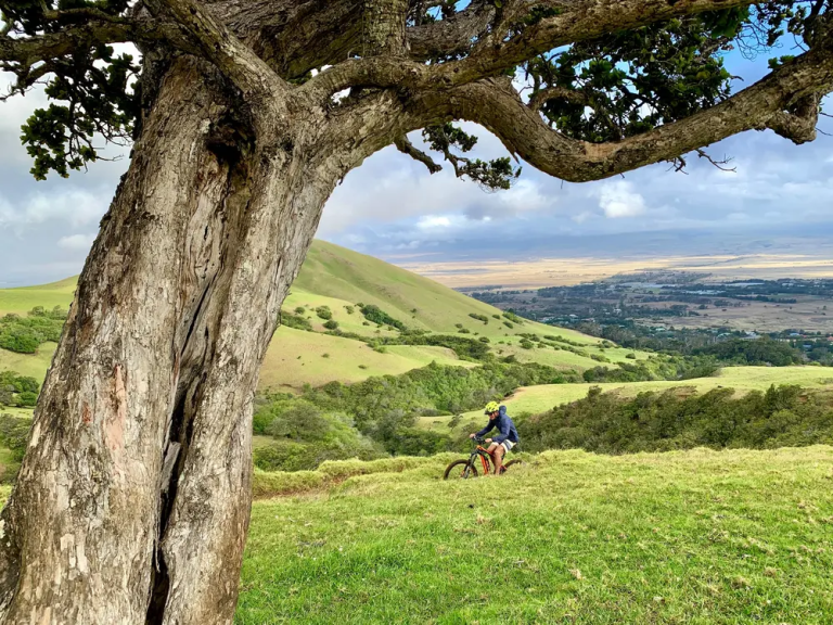 Anna Ranch Mountain Bike Adventure Lush Greenery