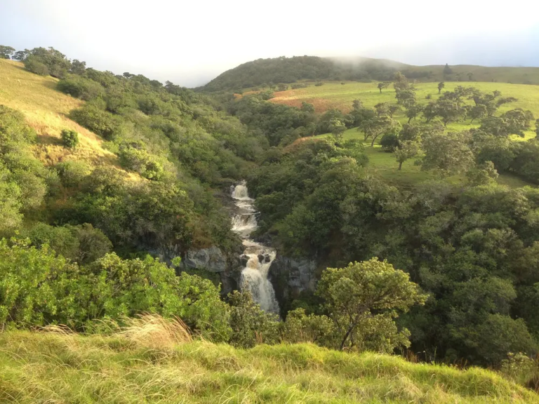 Anna Ranch Mountain Bike Adventure Waterfall