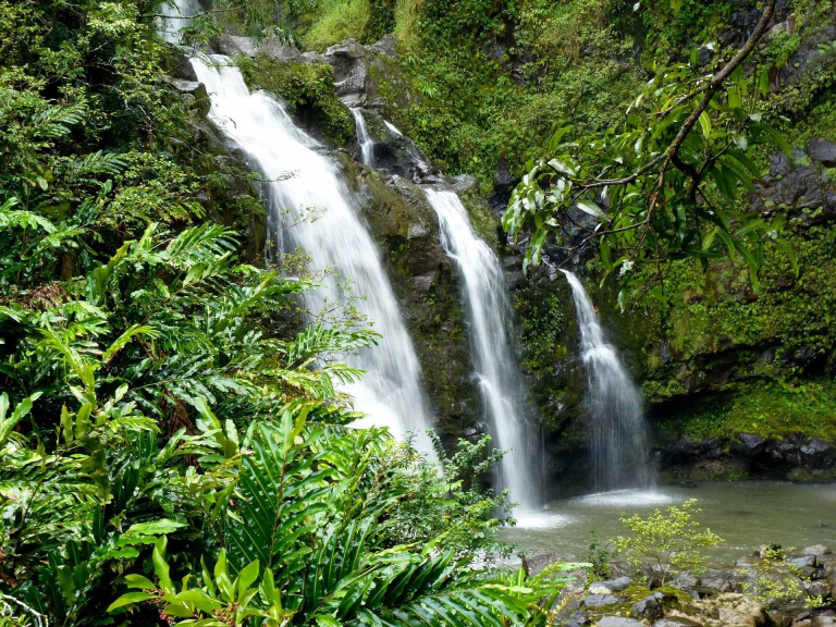 Botanicalworld Taking Photos Scenic Waterfall Views