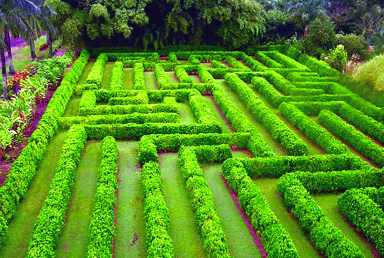 Botanical-World-Adventures-aerial-view-of-green-hedge-maze-garden