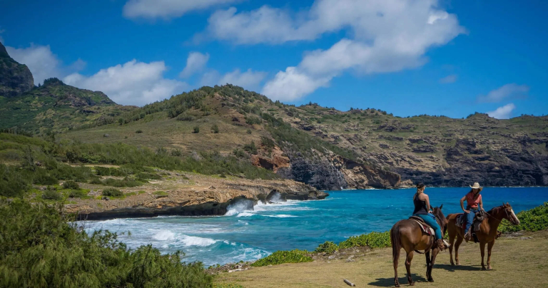 CJM-Country-Stables-Beach