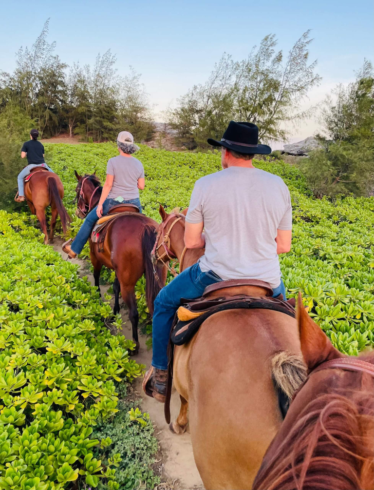 CJM-Country-Stables-Mahaulepu-Ocean-Mountain-And-Valley-Horseback-Adventure-Riding