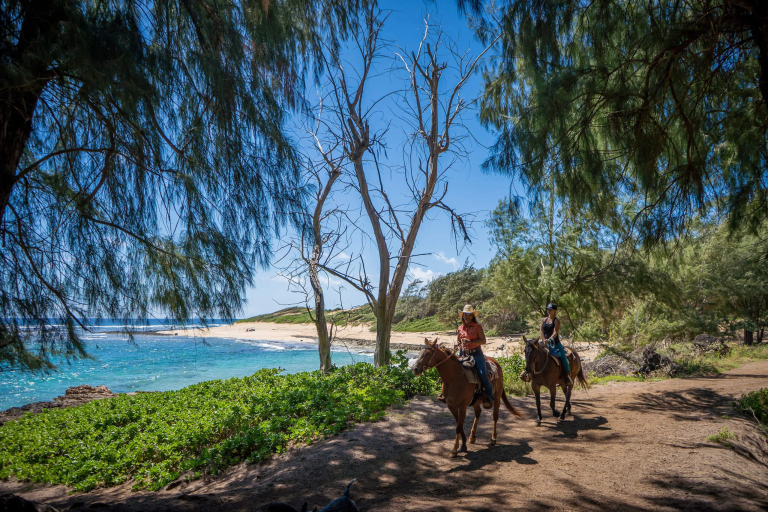 CJM-Country-Stables-Secret-Beach-Picnic-Ride-Header