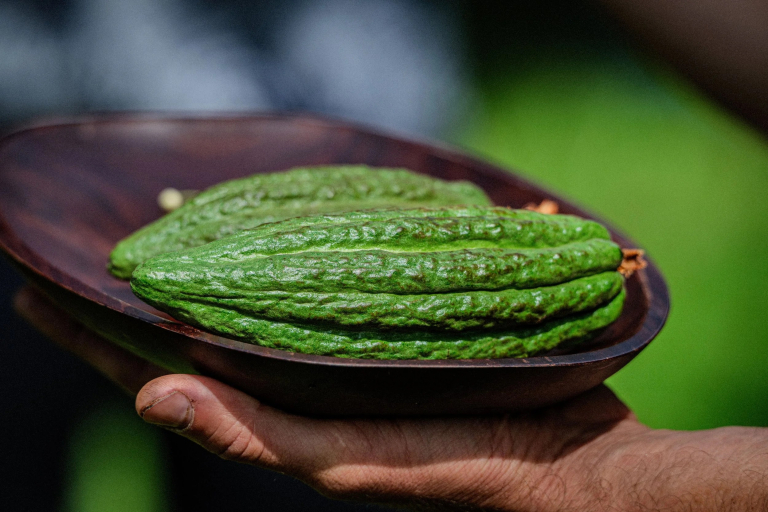 Honolii-Orchards-hand-holding-wooden-bowl-with-green-vegetables