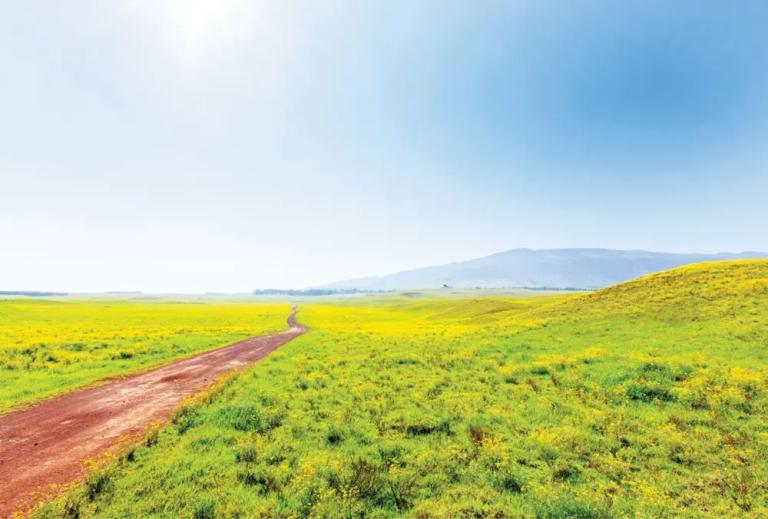 bigislandbiketours-mana-bike-tours-feature-road