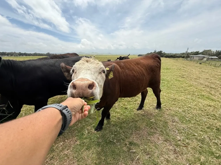 bigislandbiketours-mana-road-tours-feature-experience
