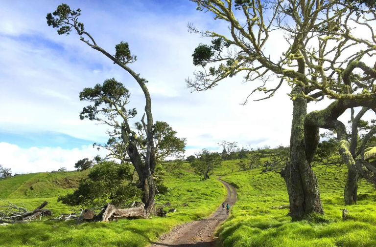 bigislandbiketours-mana-road-tours-feature-for-family_1