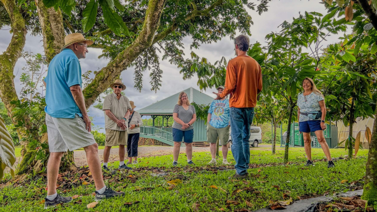 honolii-orchards-premier-farm-tour-bar-chocolate-tasting-experience-farm