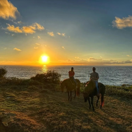 CJM Country Stables Kauai Sunrise Private Custom Excursion - Couple