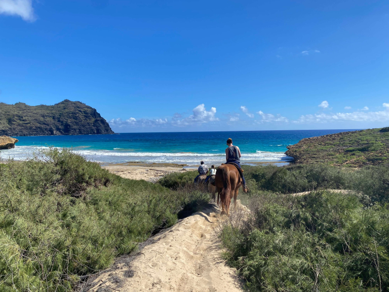 cjm-country-stables-private-kauai-horseback-ride