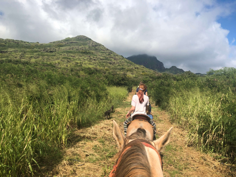 cjm-country-stables-private-kauai-horseback-rides-easy-generally-flat-ride