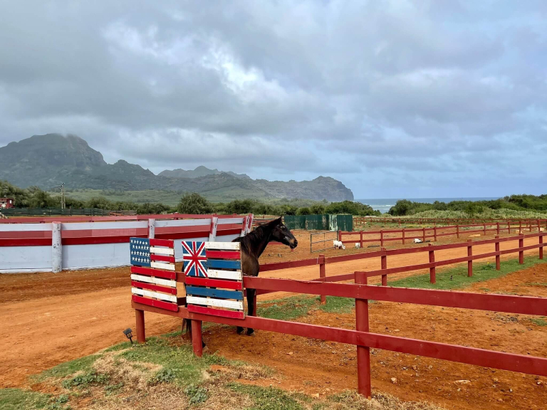 cjm-country-stables-private-kauai-horseback-rides-farm