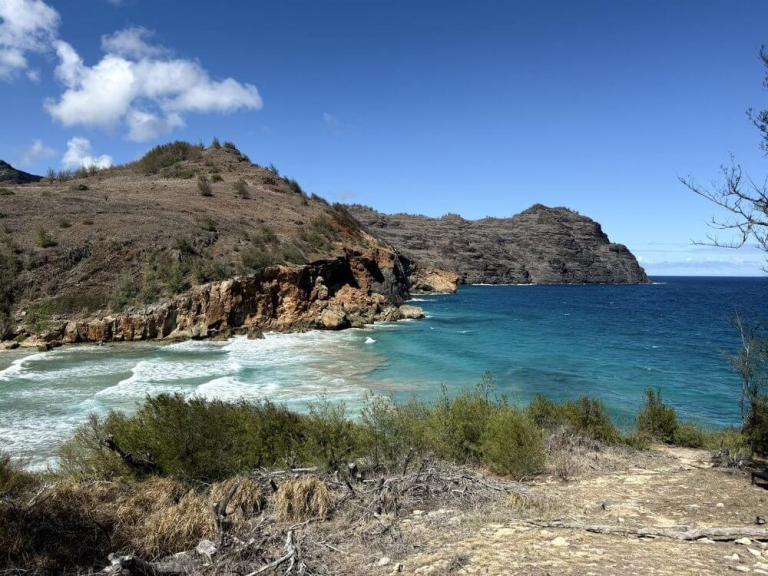 cjm-country-stables-secret-beach-horseback-ride-picnic-beach